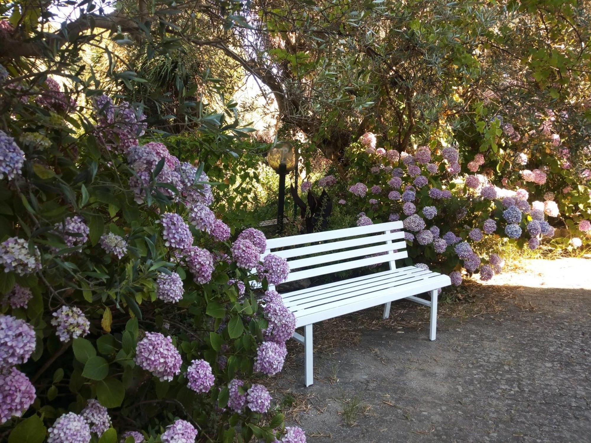 Casa Emilia Hotel Marano Principato Ruang foto
